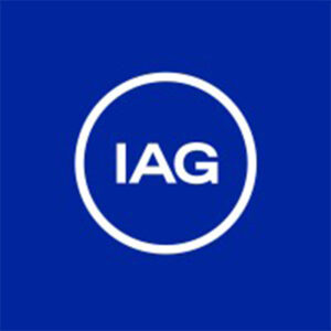 Independent Artist Group (IAG)
